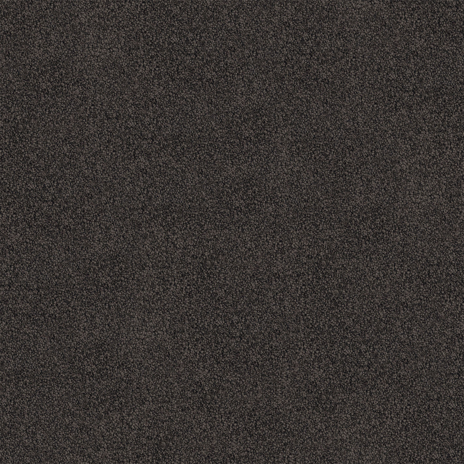 Barossa carpet in Midnight
