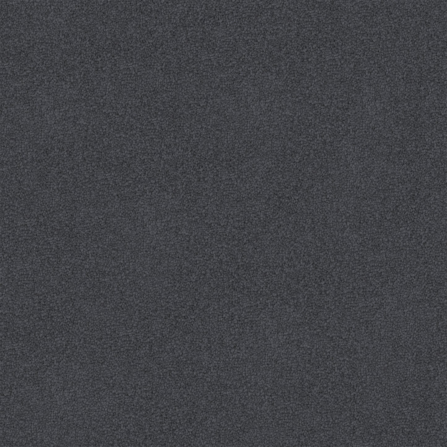 Infatuation carpet in Dark Matter
