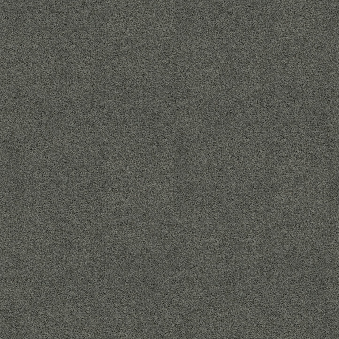 Silk Cloud carpet in Nickle