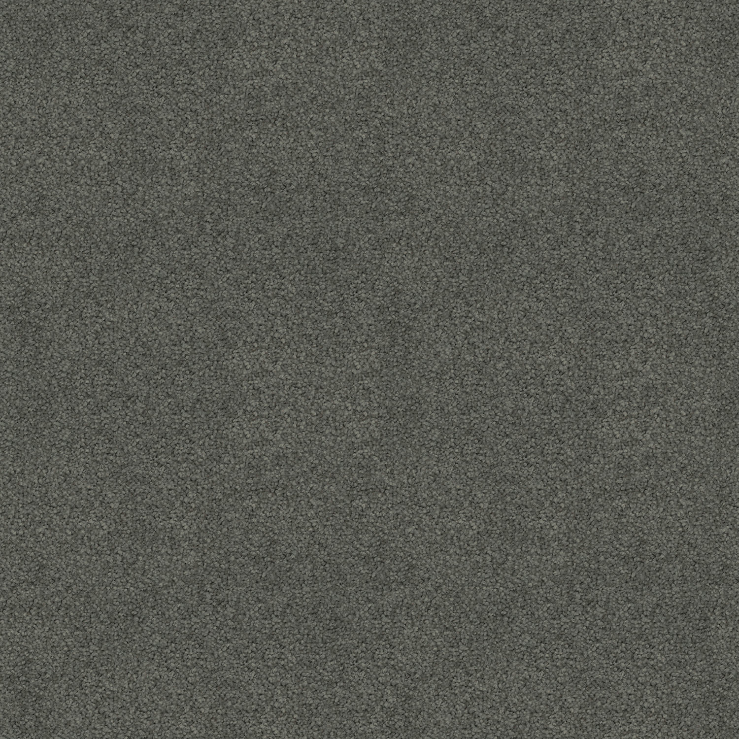 Silk Cloud carpet in Nickle