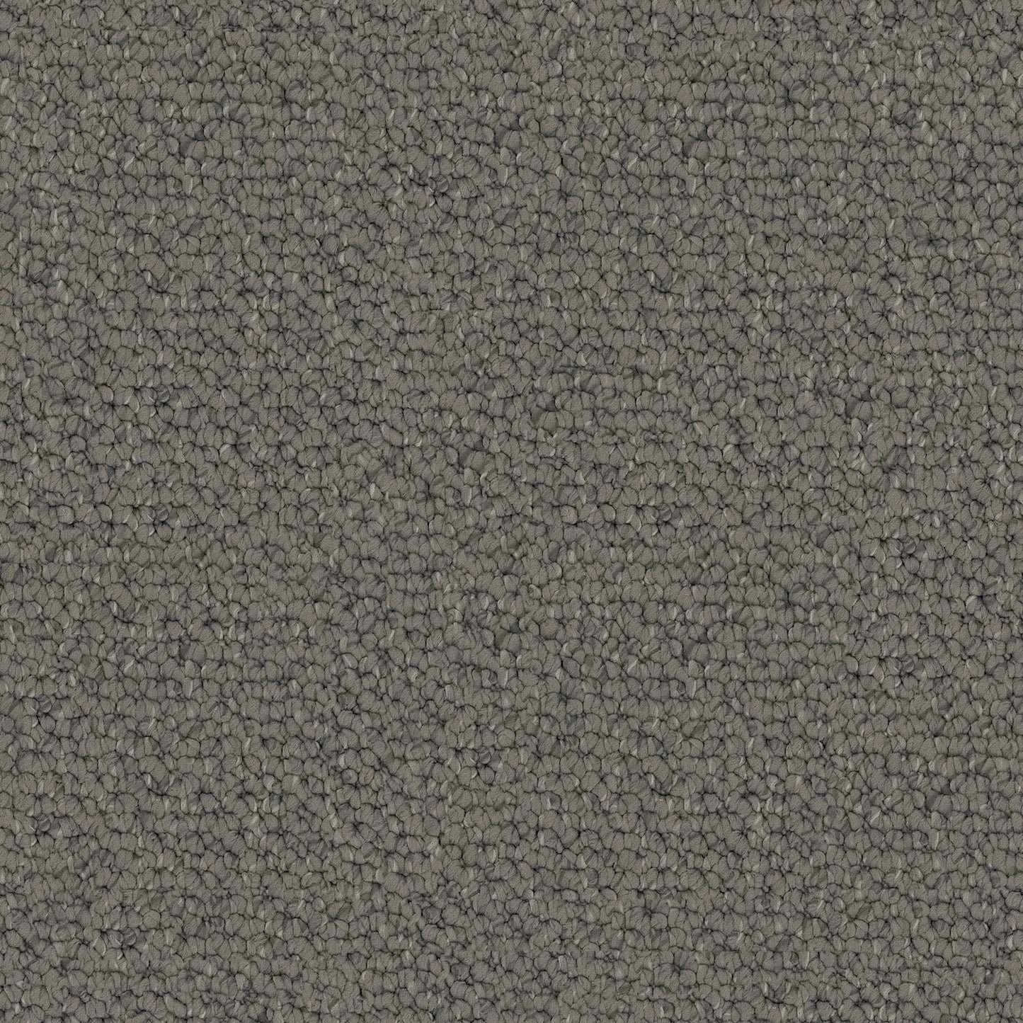 Carpathian carpet in Bison