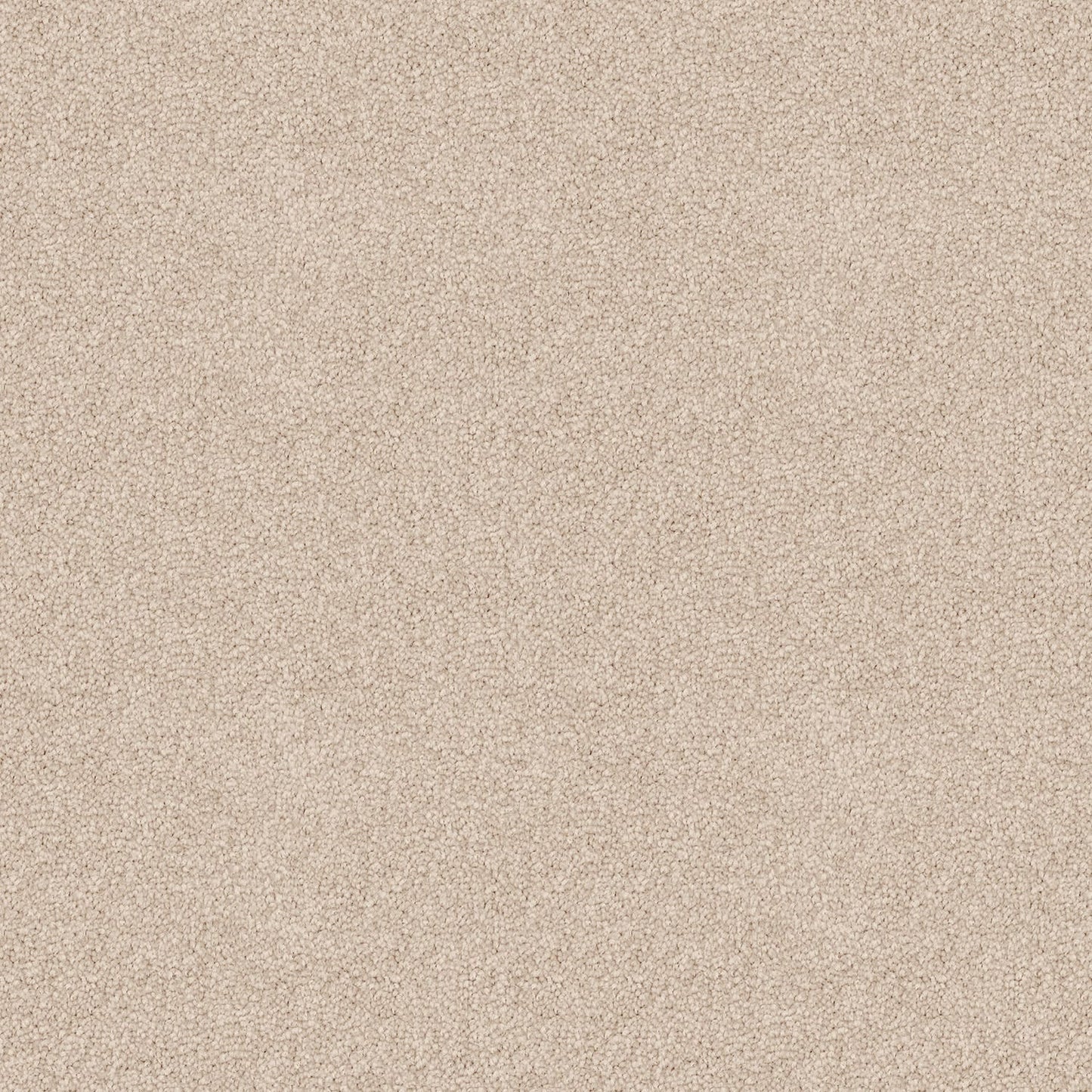 Skyway carpet in Canvas