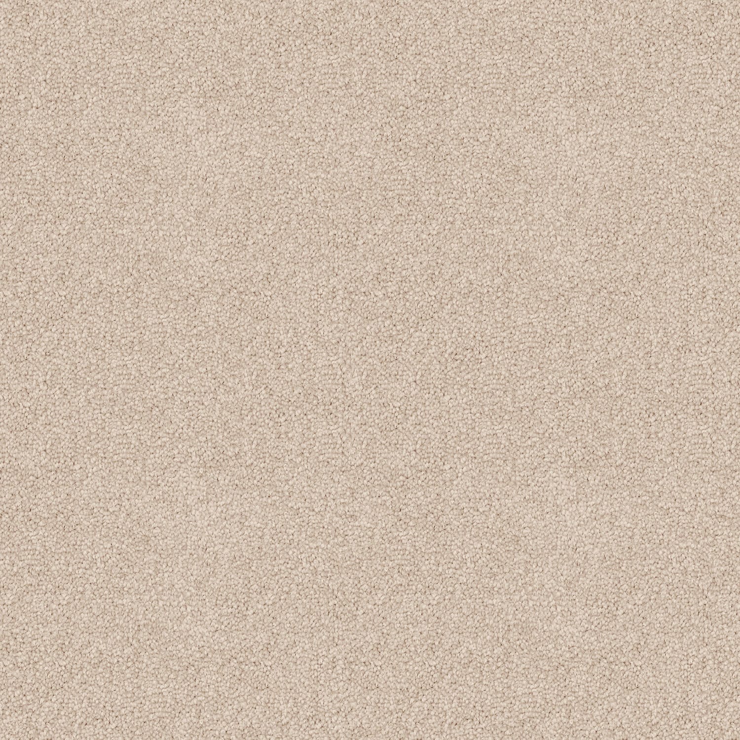 Skyway carpet in Canvas