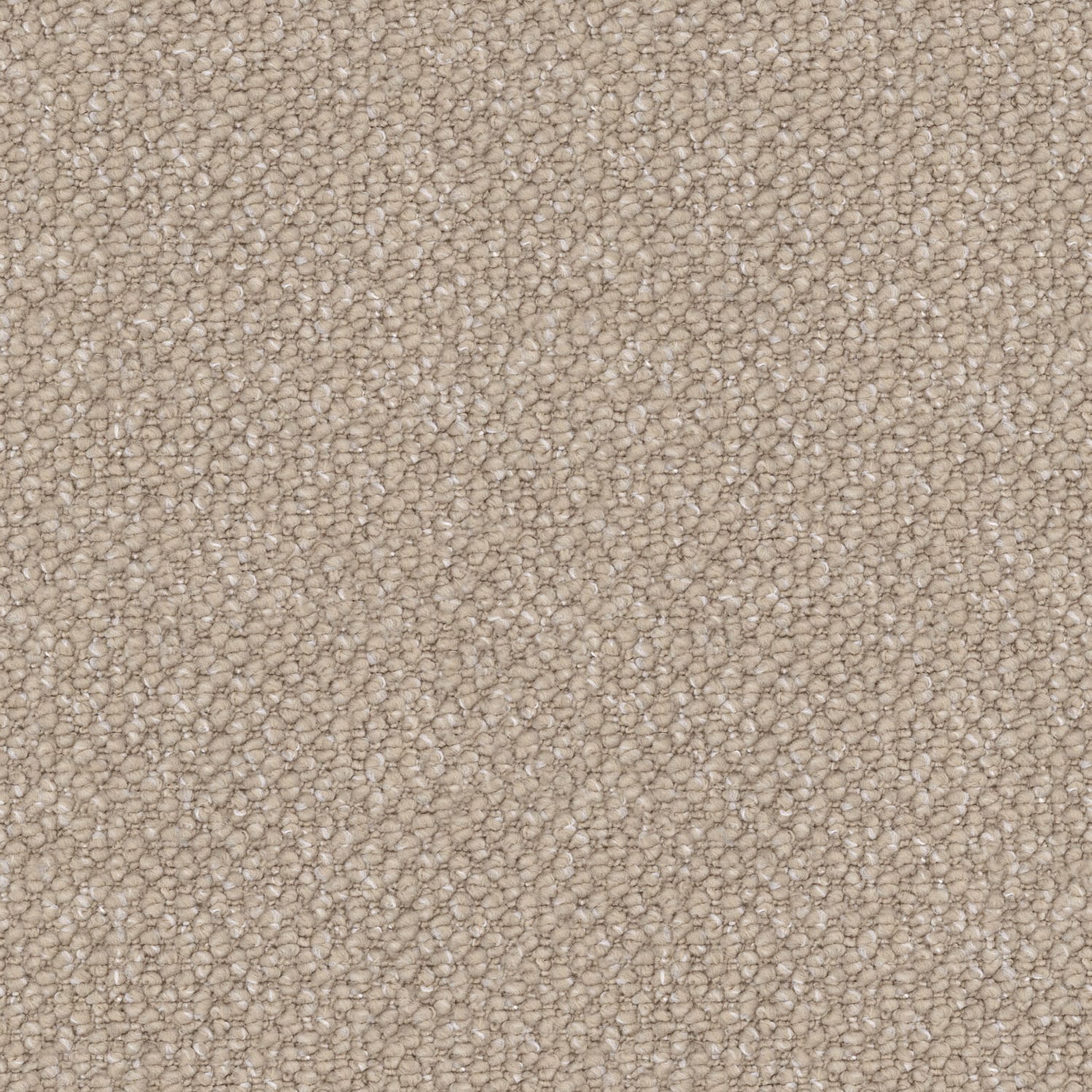 Hillcrest carpet in Oatmeal