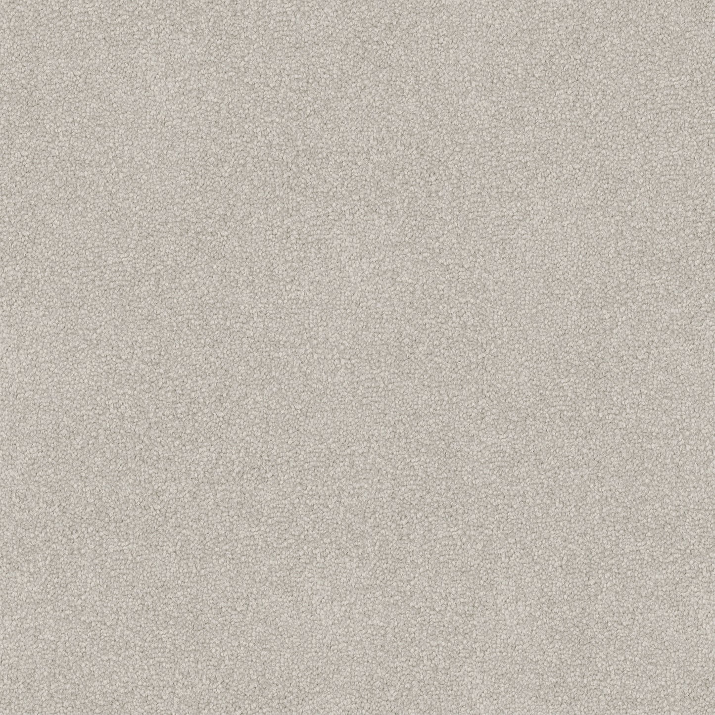 Infatuation carpet in Grey Shingle