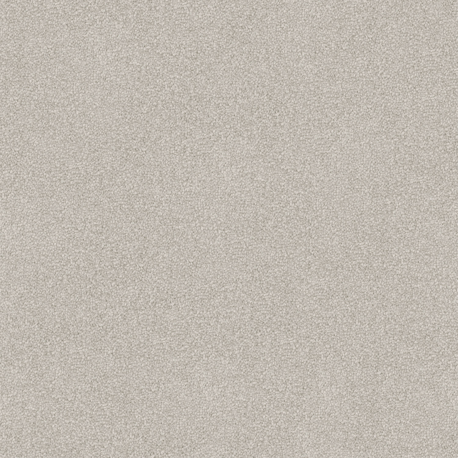 Infatuation carpet in Grey Shingle