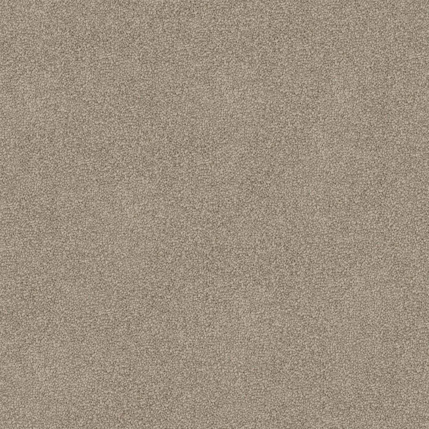 Mountain Chalet carpet in Pale Mushroom