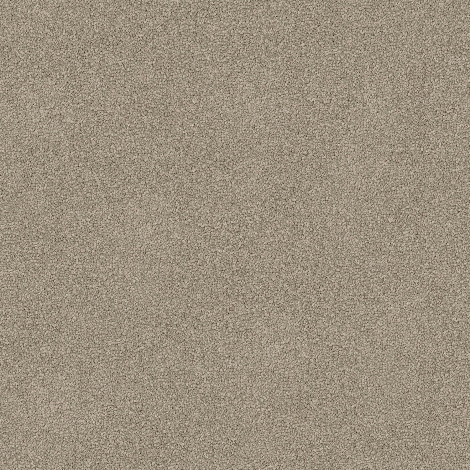 Mountain Chalet carpet in Pale Mushroom