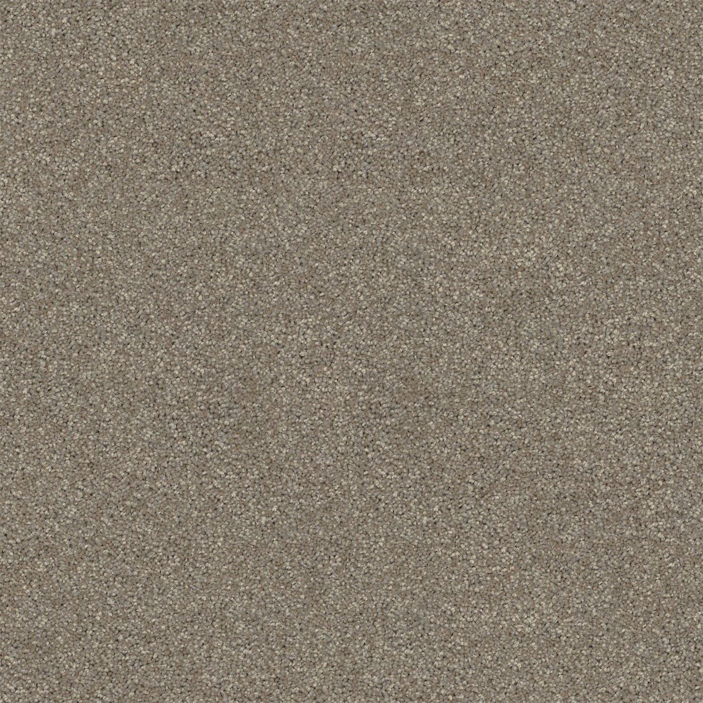 Revive carpet in Ciabatta