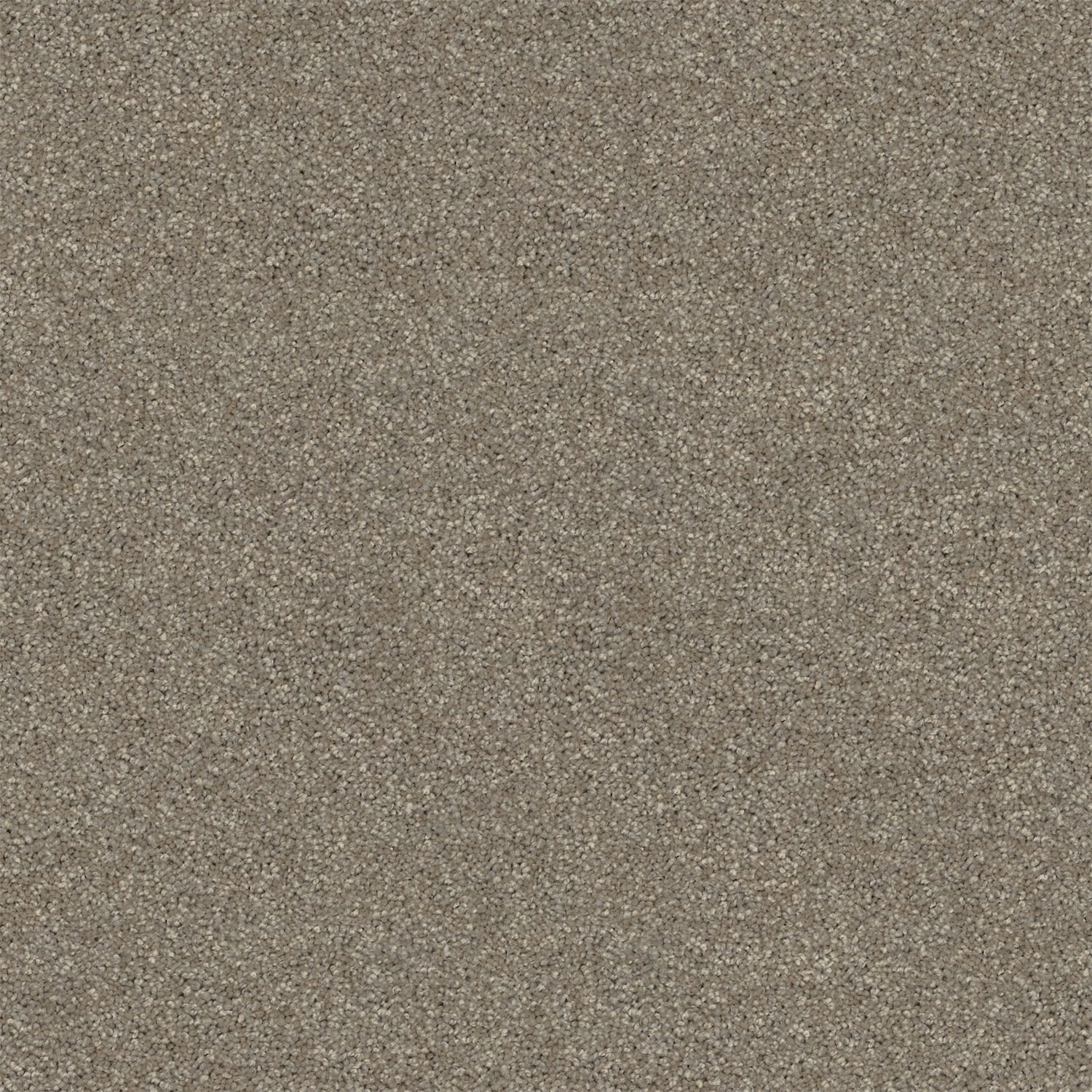 Revive carpet in Ciabatta