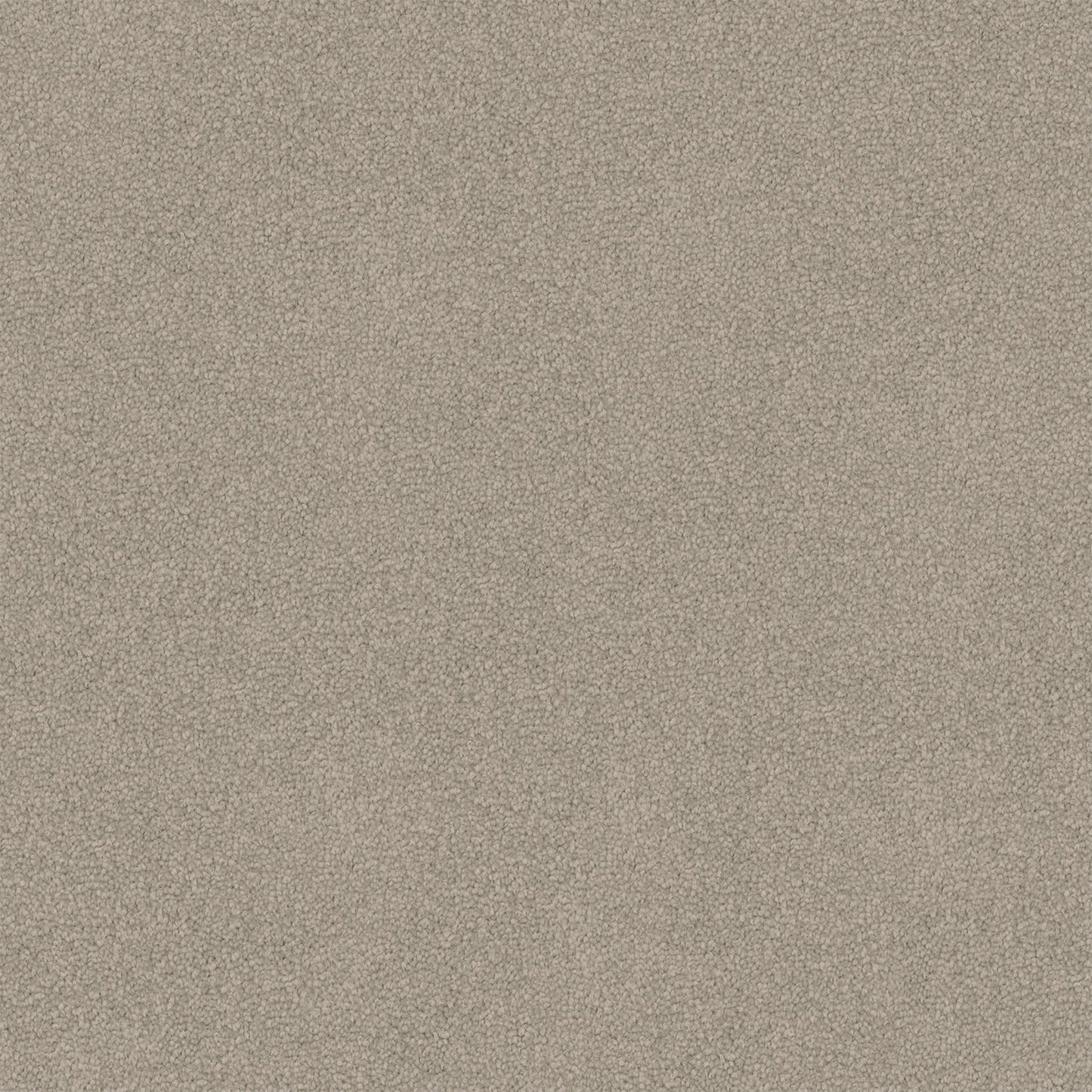 Dawn Rise carpet in Beige Glow