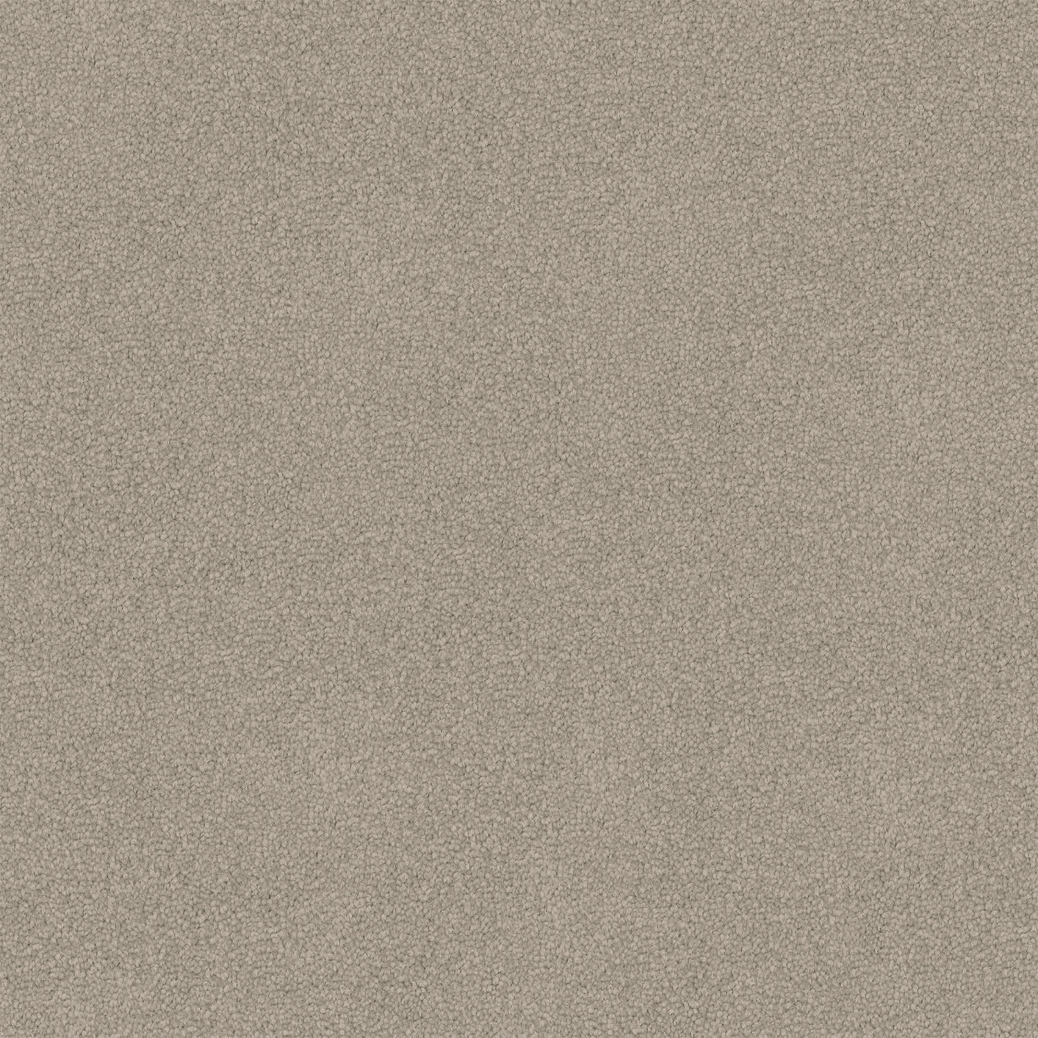Dawn Rise carpet in Beige Glow