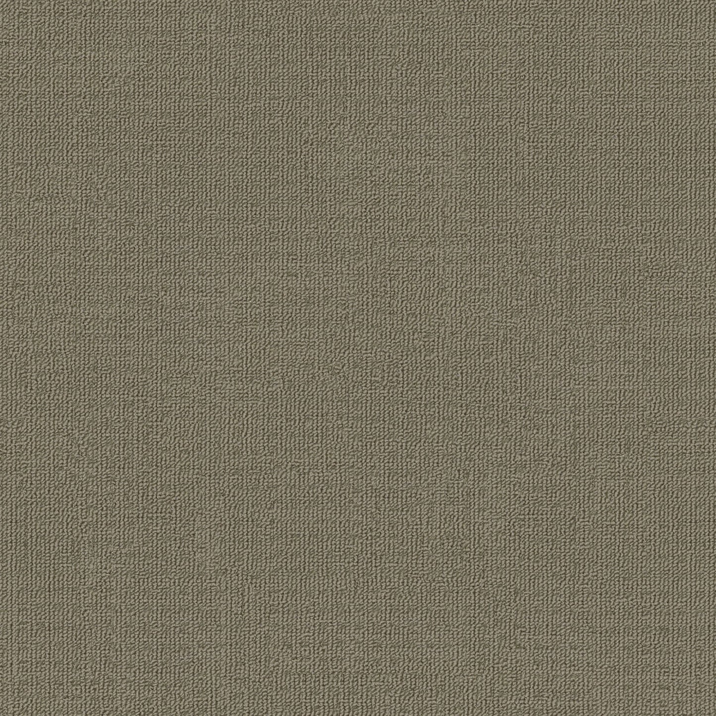 Genesis carpet in Nullarbor