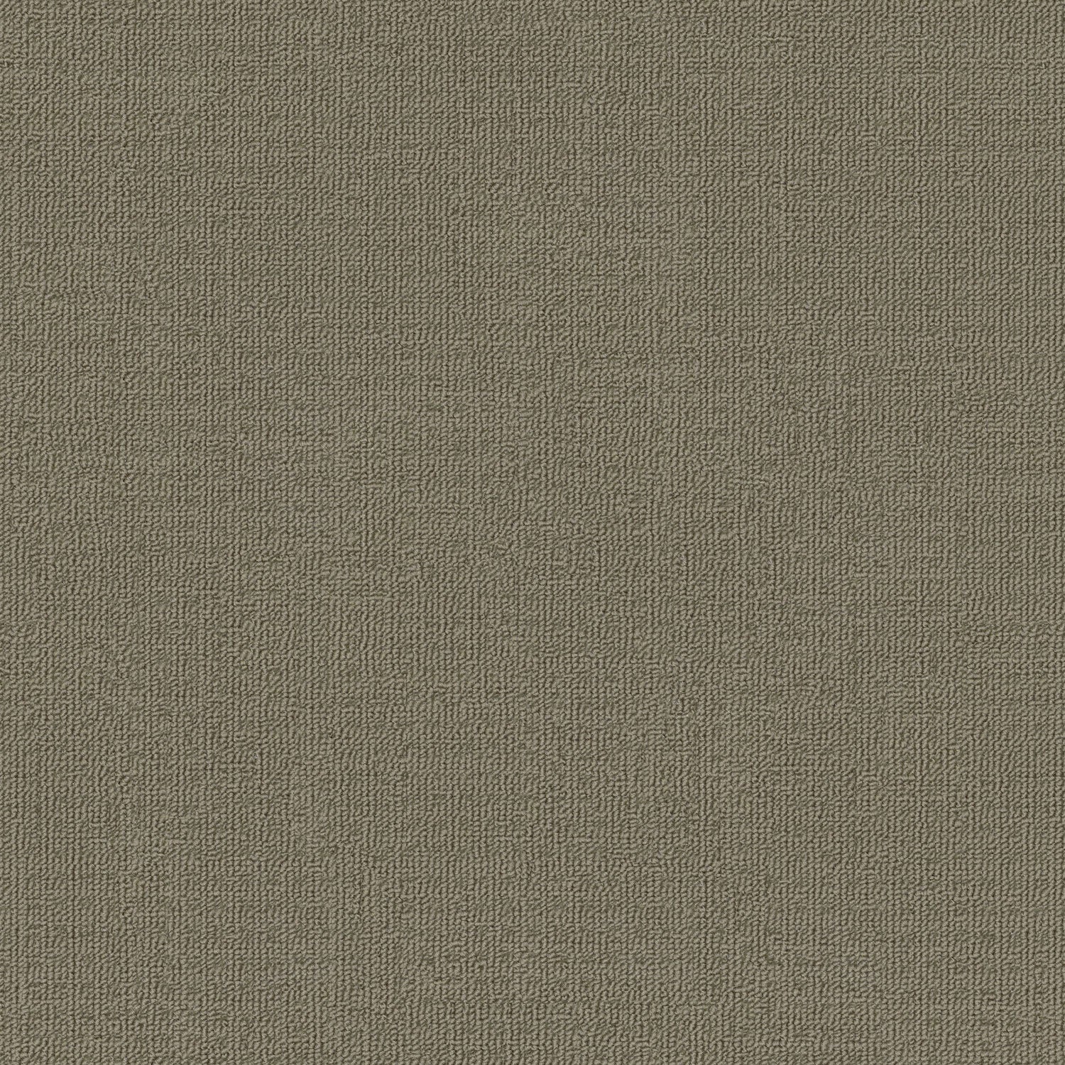Genesis carpet in Nullarbor