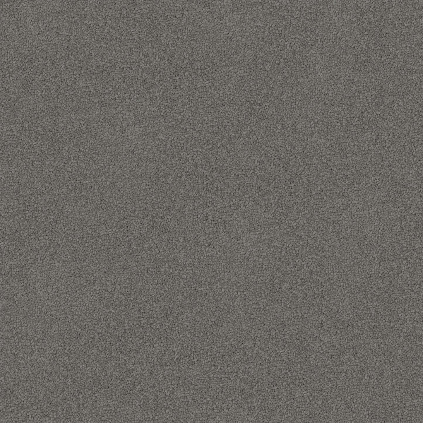 Infatuation carpet in Urban Grey
