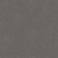 Infatuation carpet in Urban Grey