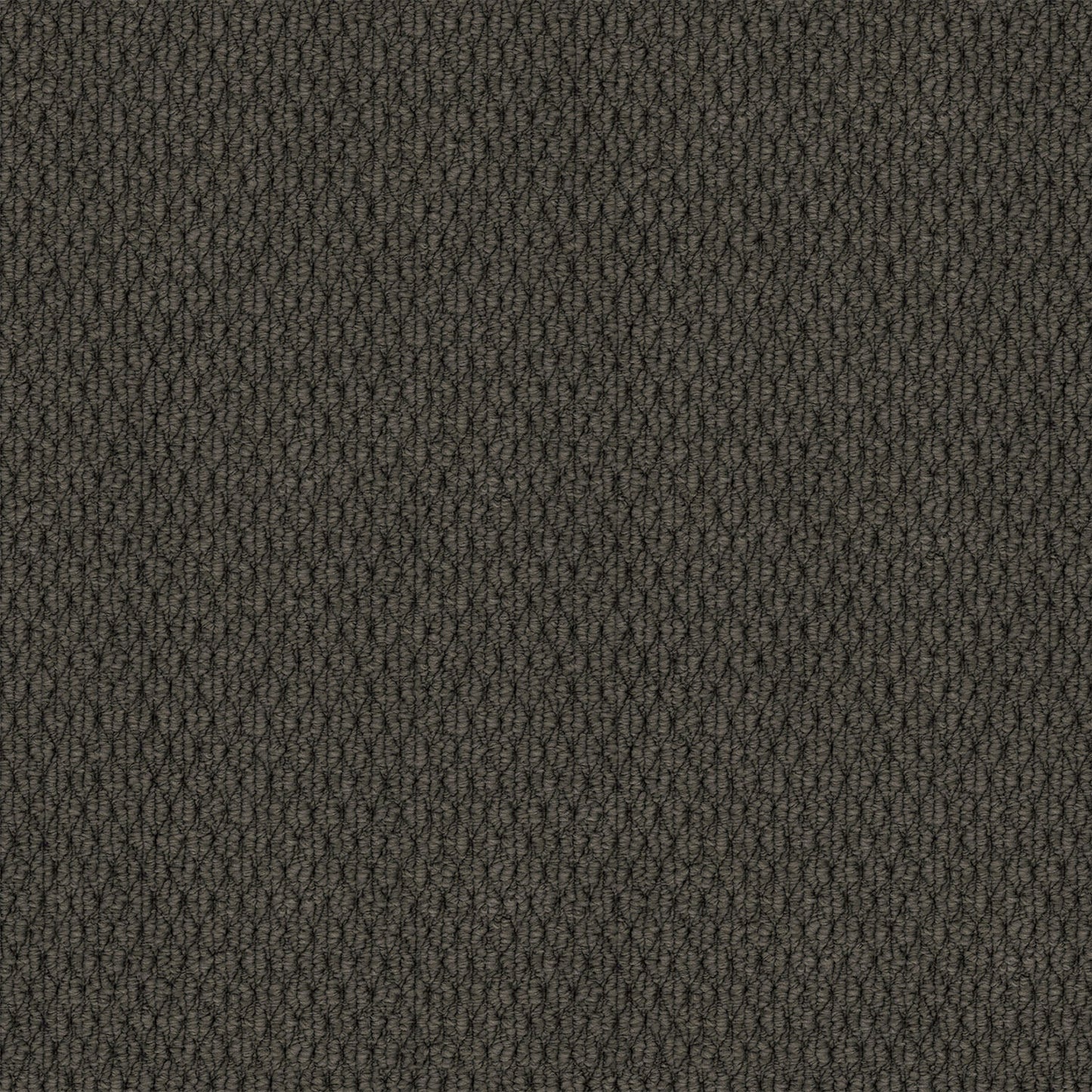 Kashmir carpet in Dark Slate