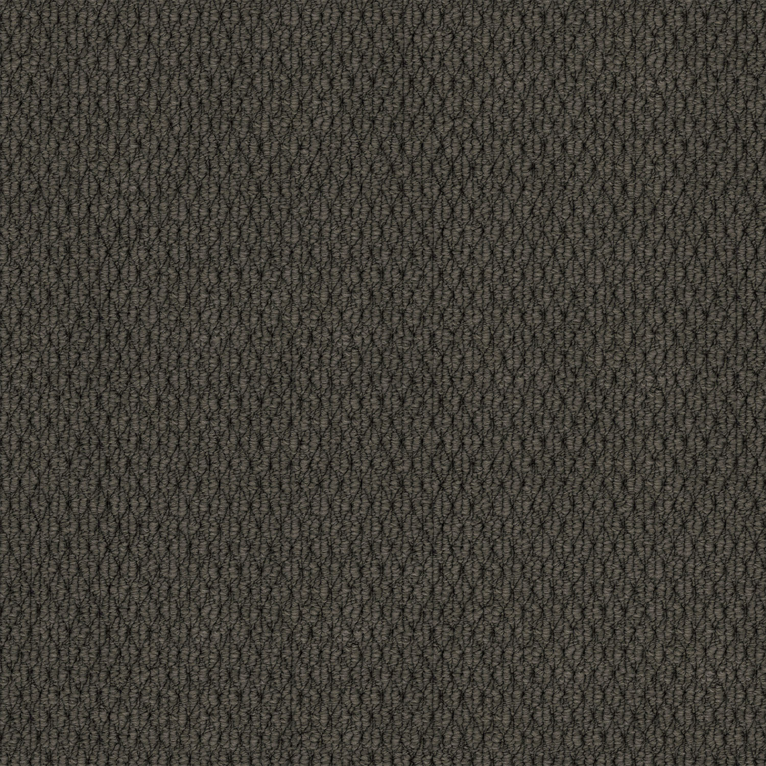 Kashmir carpet in Dark Slate