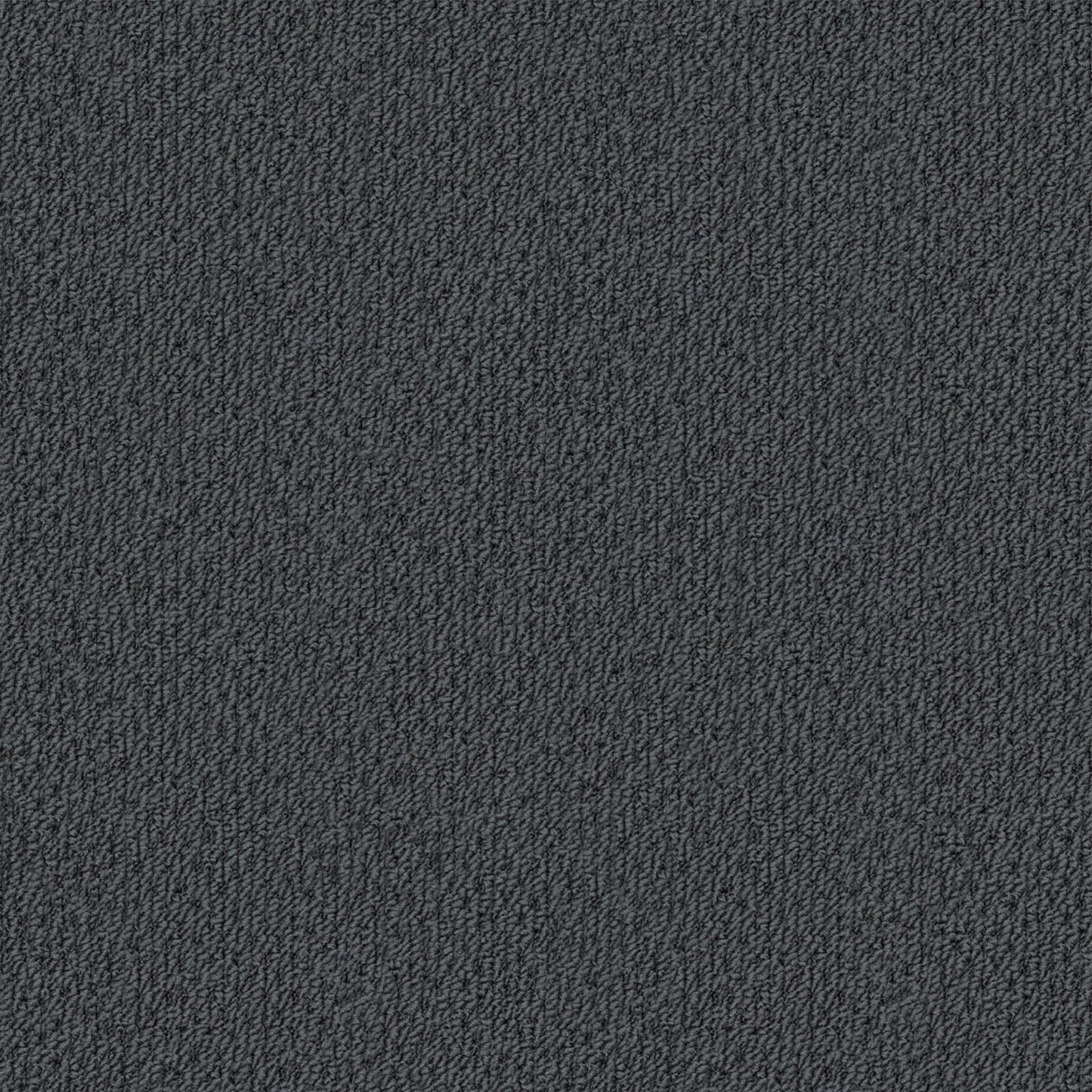 Phoenix carpet in Arcadia