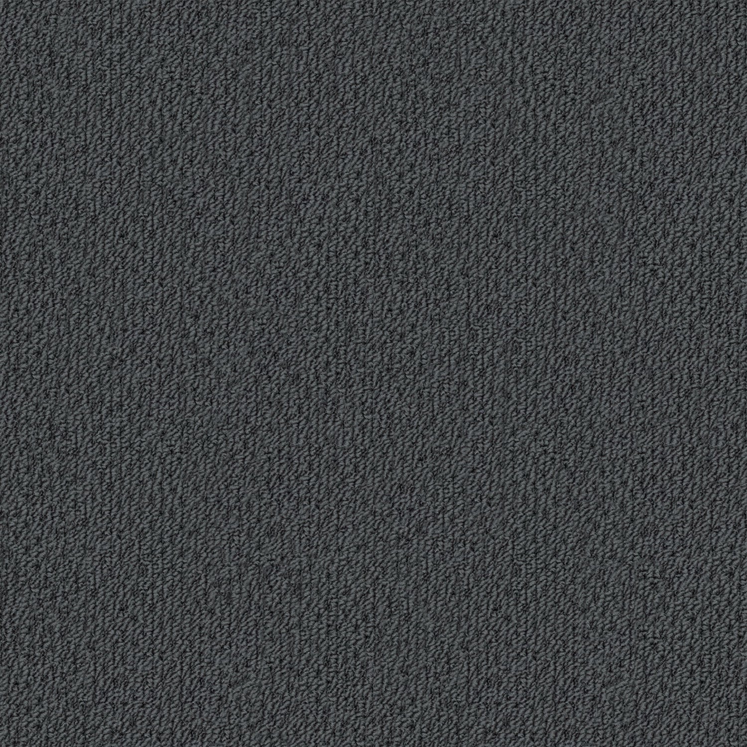 Phoenix carpet in Arcadia