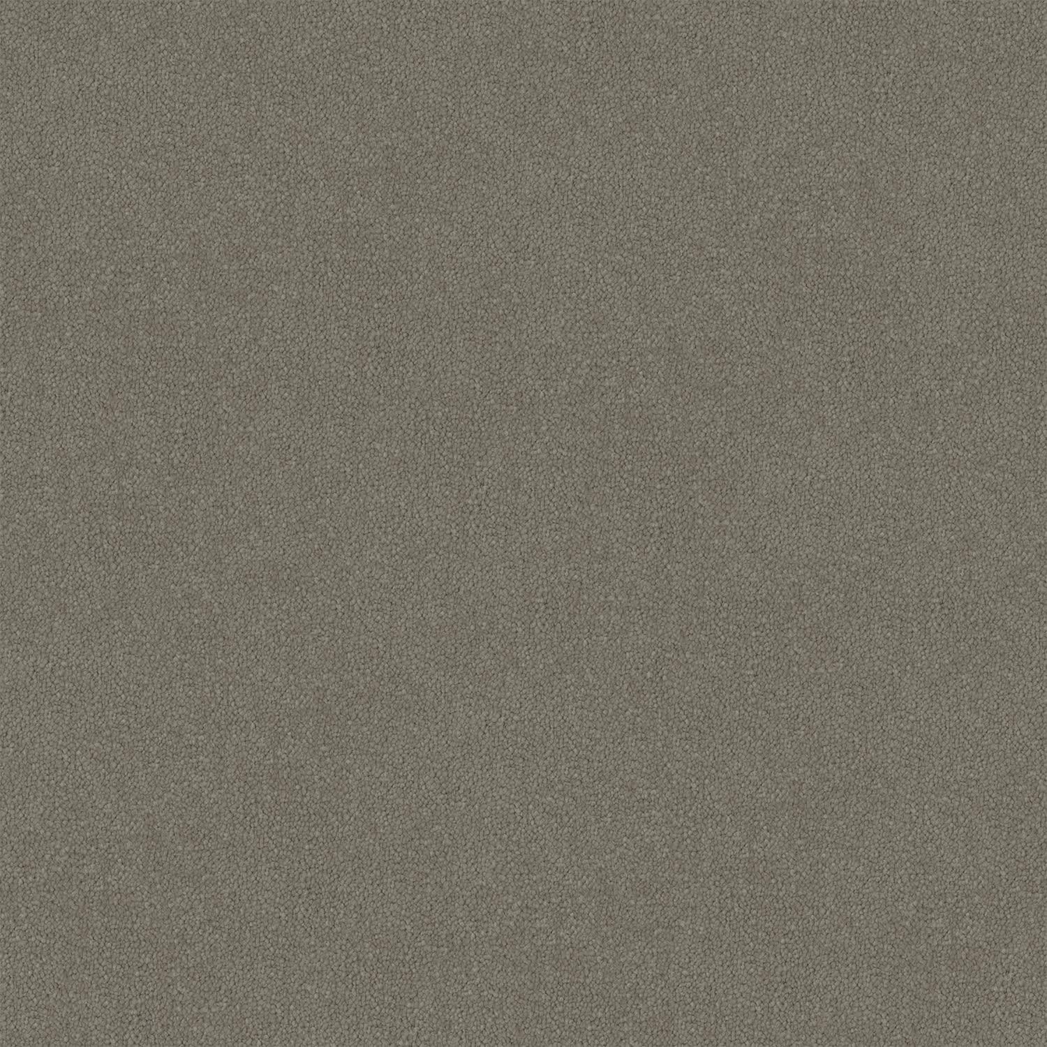 Armadale carpet in Moondust