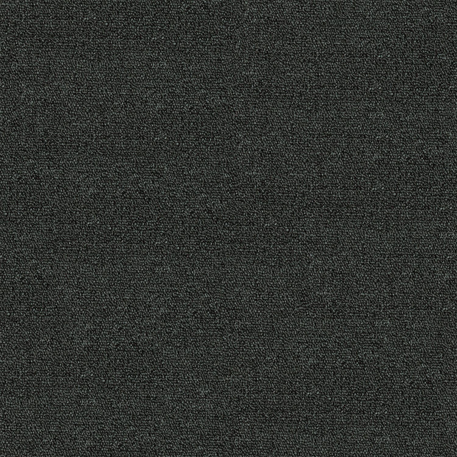 Kings Domain carpet in Jaguar
