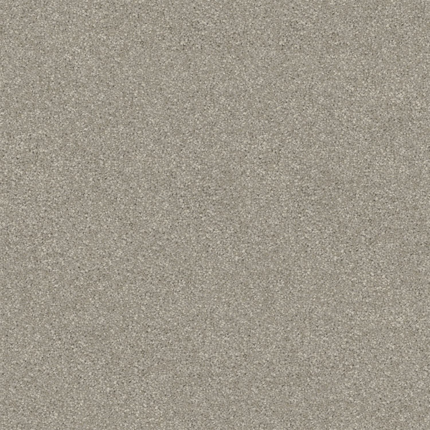 Revive carpet in Moonshine