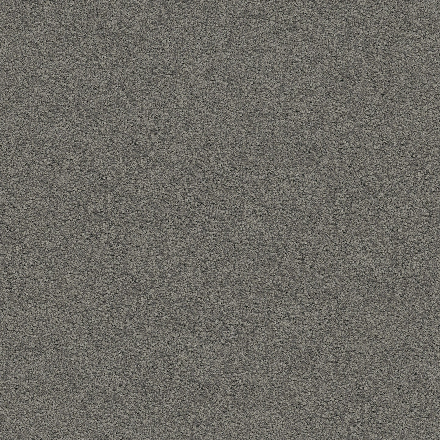 Riverina carpet in Grey Metal