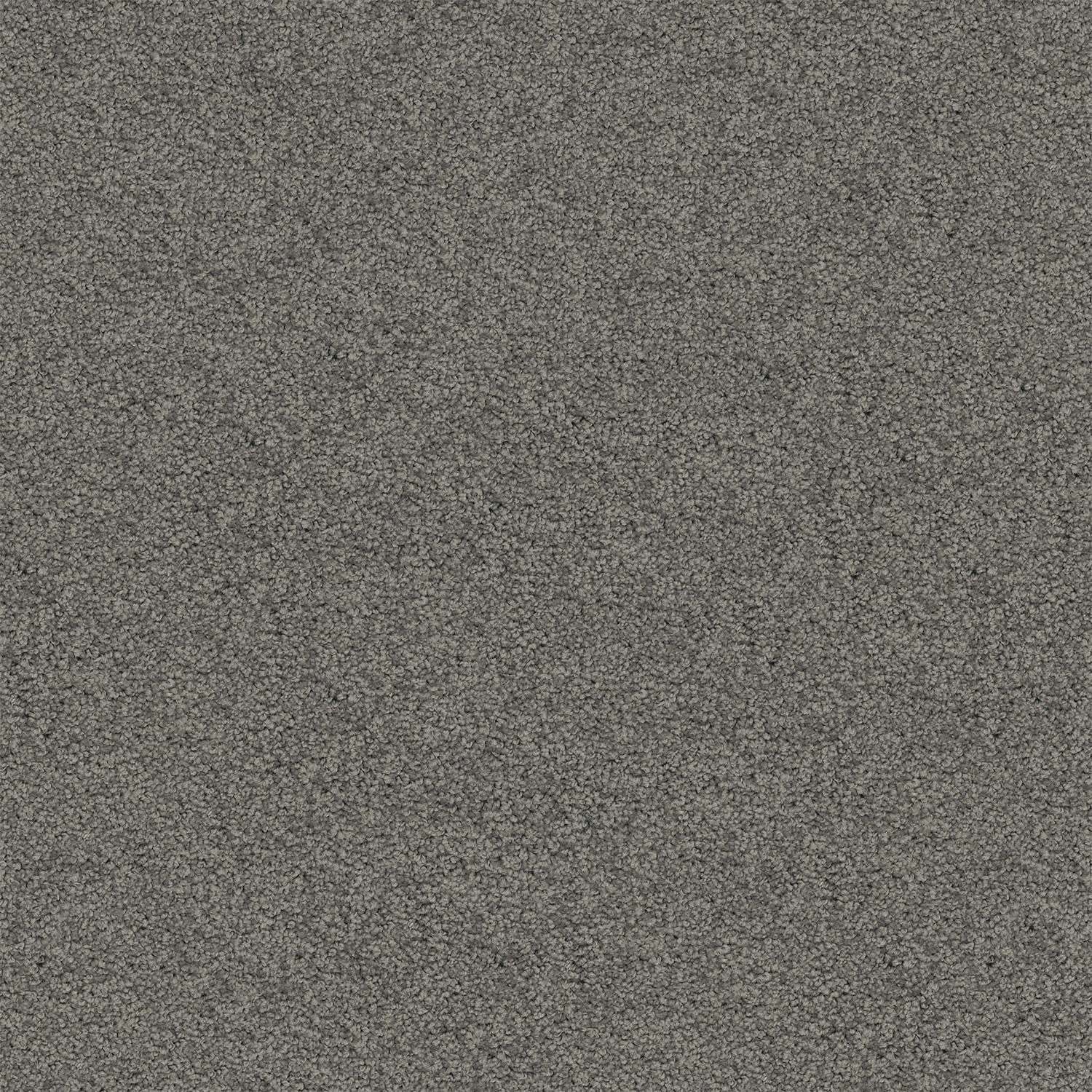 Riverina carpet in Grey Metal