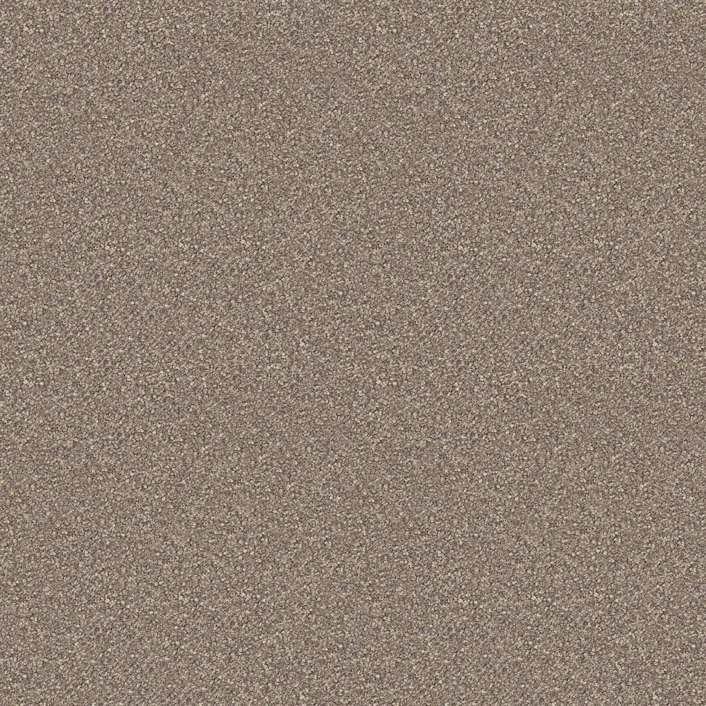Scenic View carpet in Shrublands