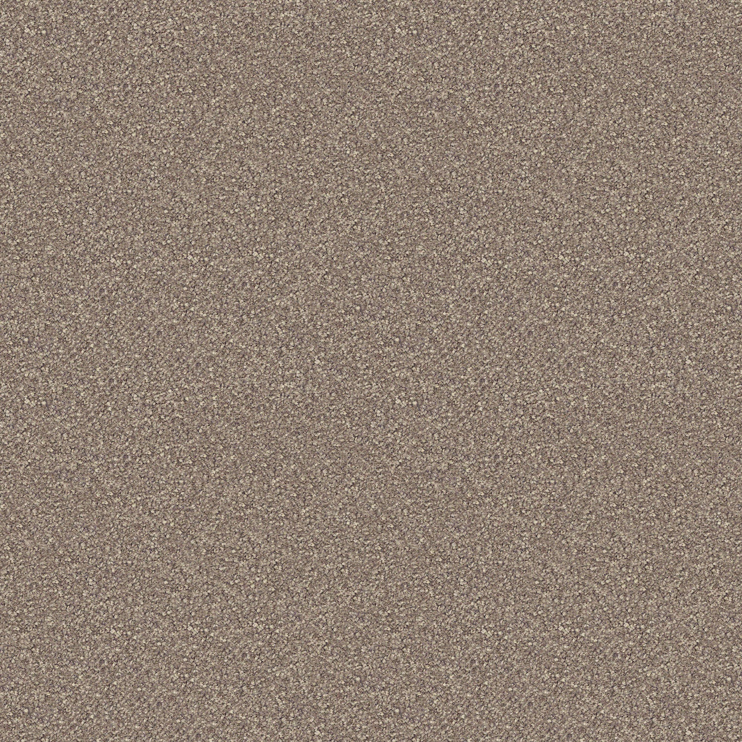 Scenic View carpet in Shrublands