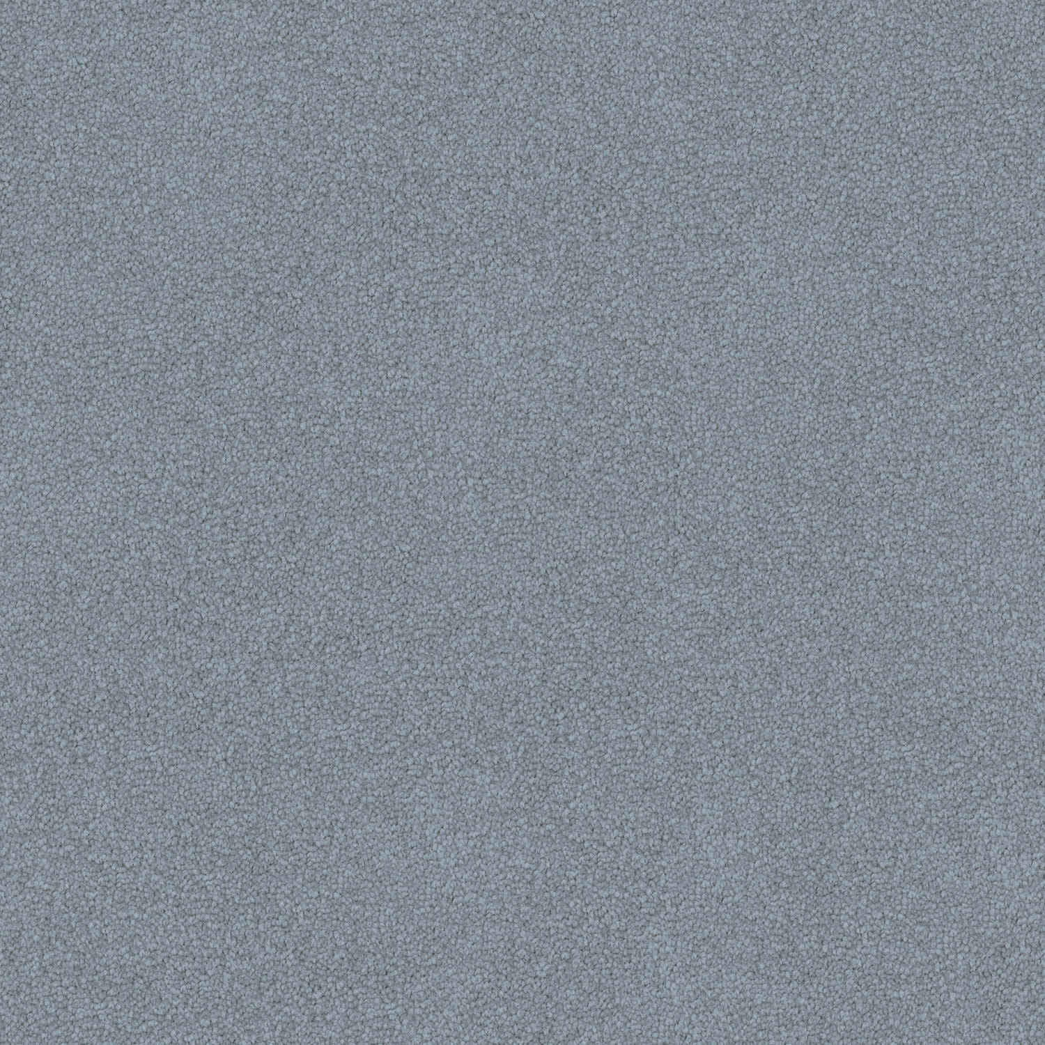 Infatuation carpet in Blue Heather