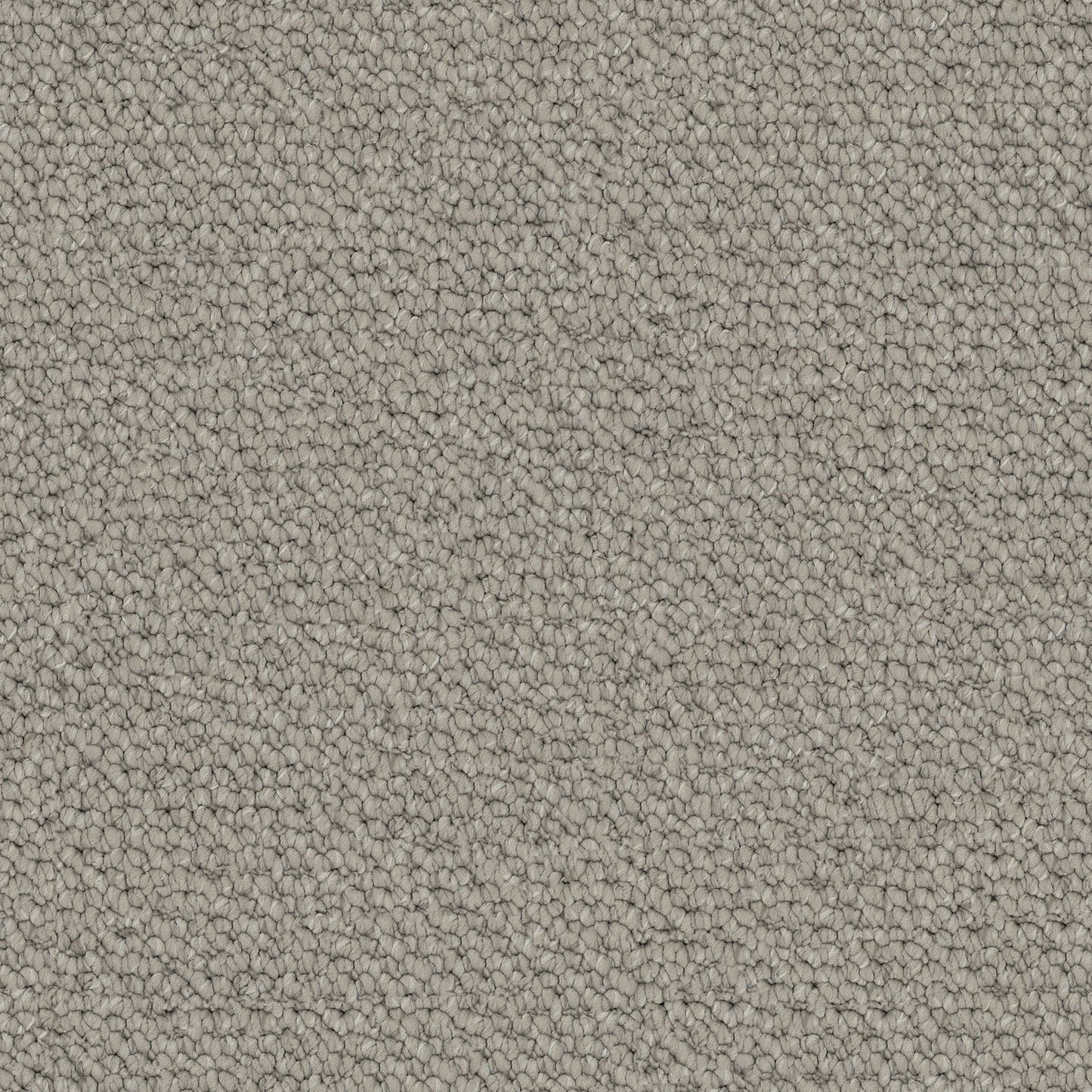 Carpathian carpet in Lynx