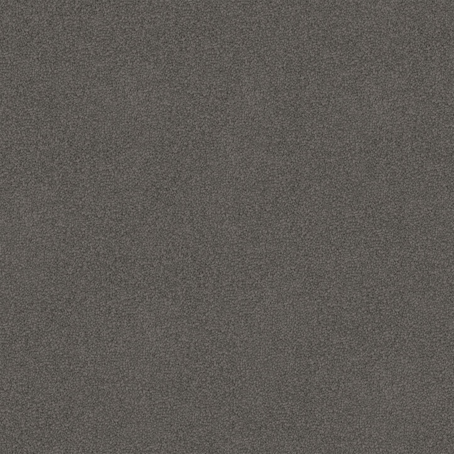 Infatuation carpet in Volcanic Grey