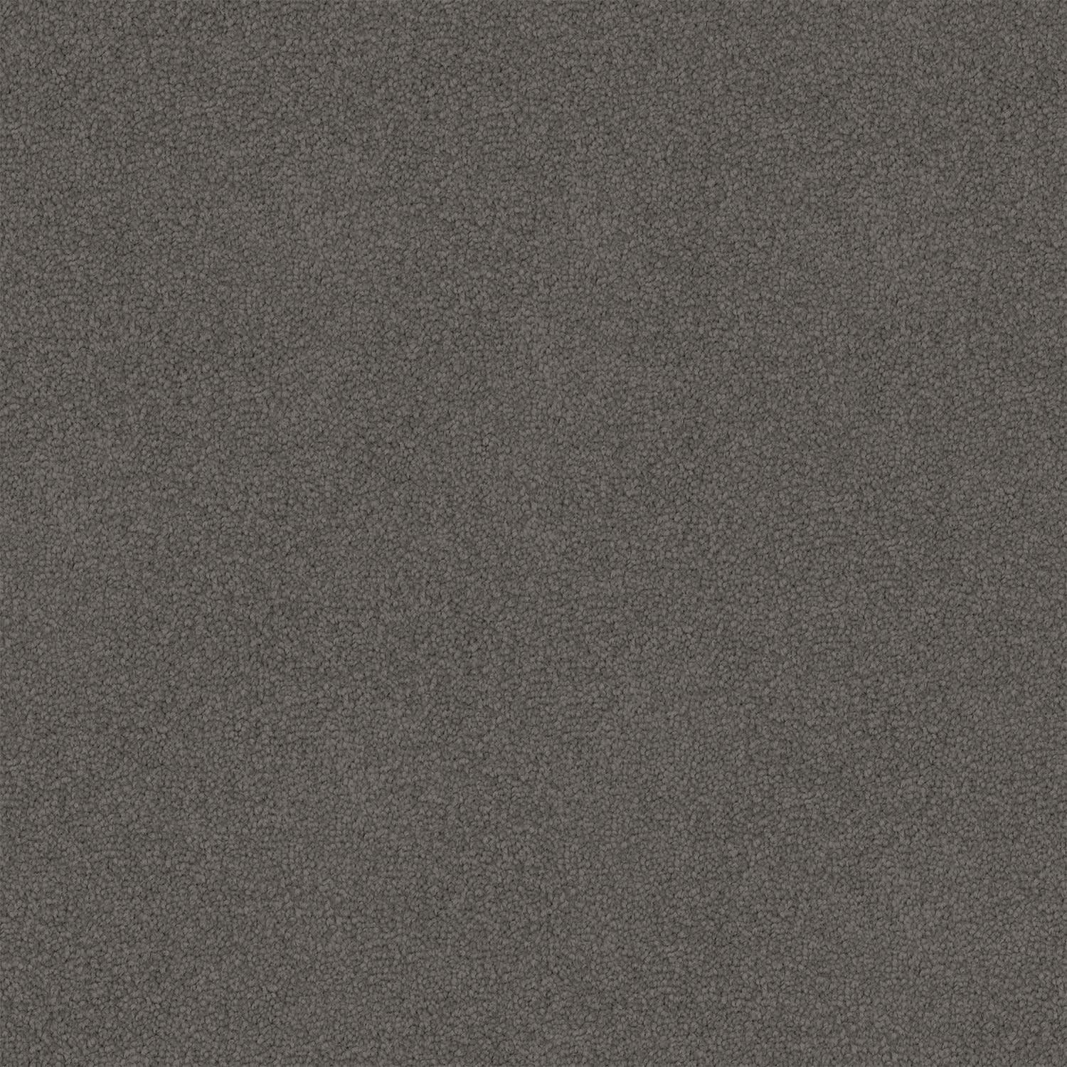 Infatuation carpet in Volcanic Grey