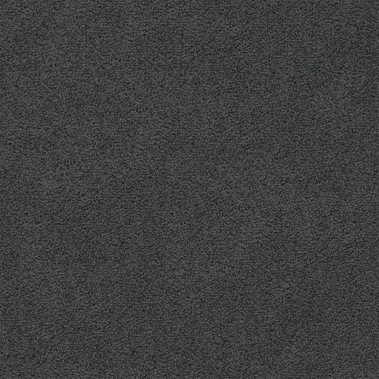 Hepburn carpet in Thunder