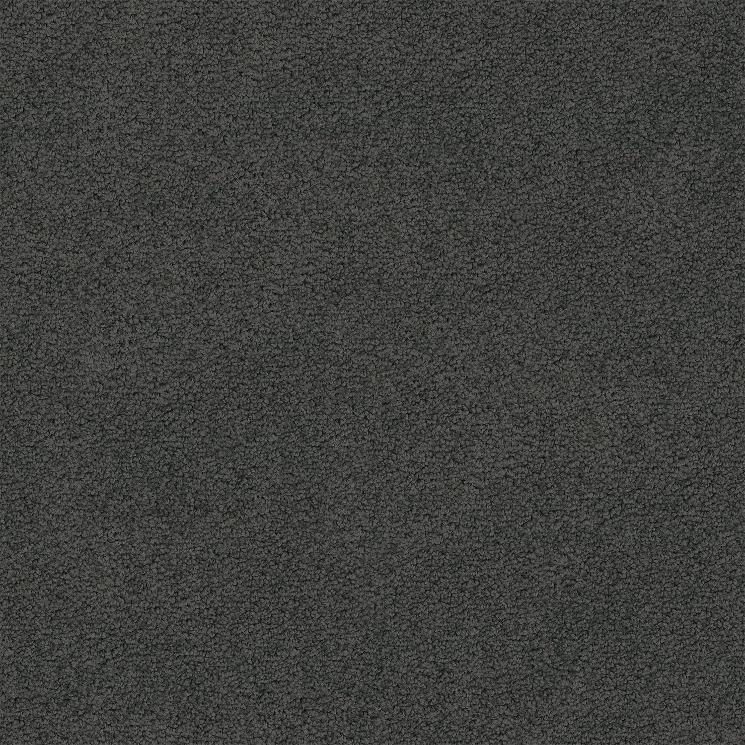 Hepburn carpet in Thunder
