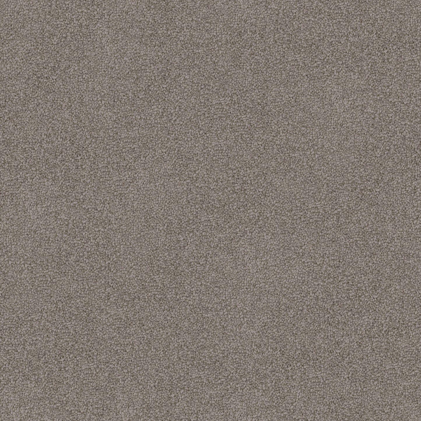 Mountain Chalet carpet in Smoke Whisp