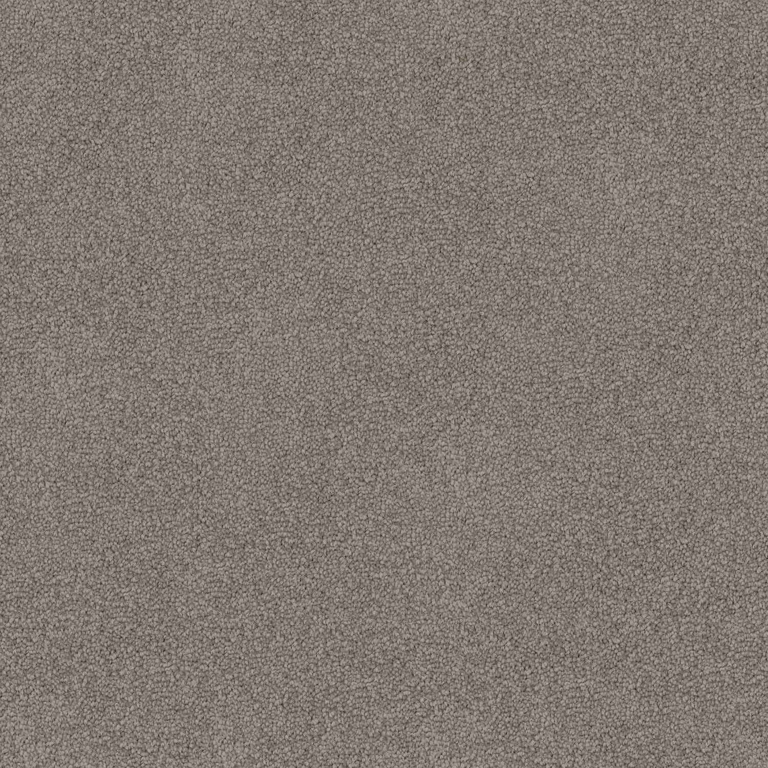 Mountain Chalet carpet in Smoke Whisp