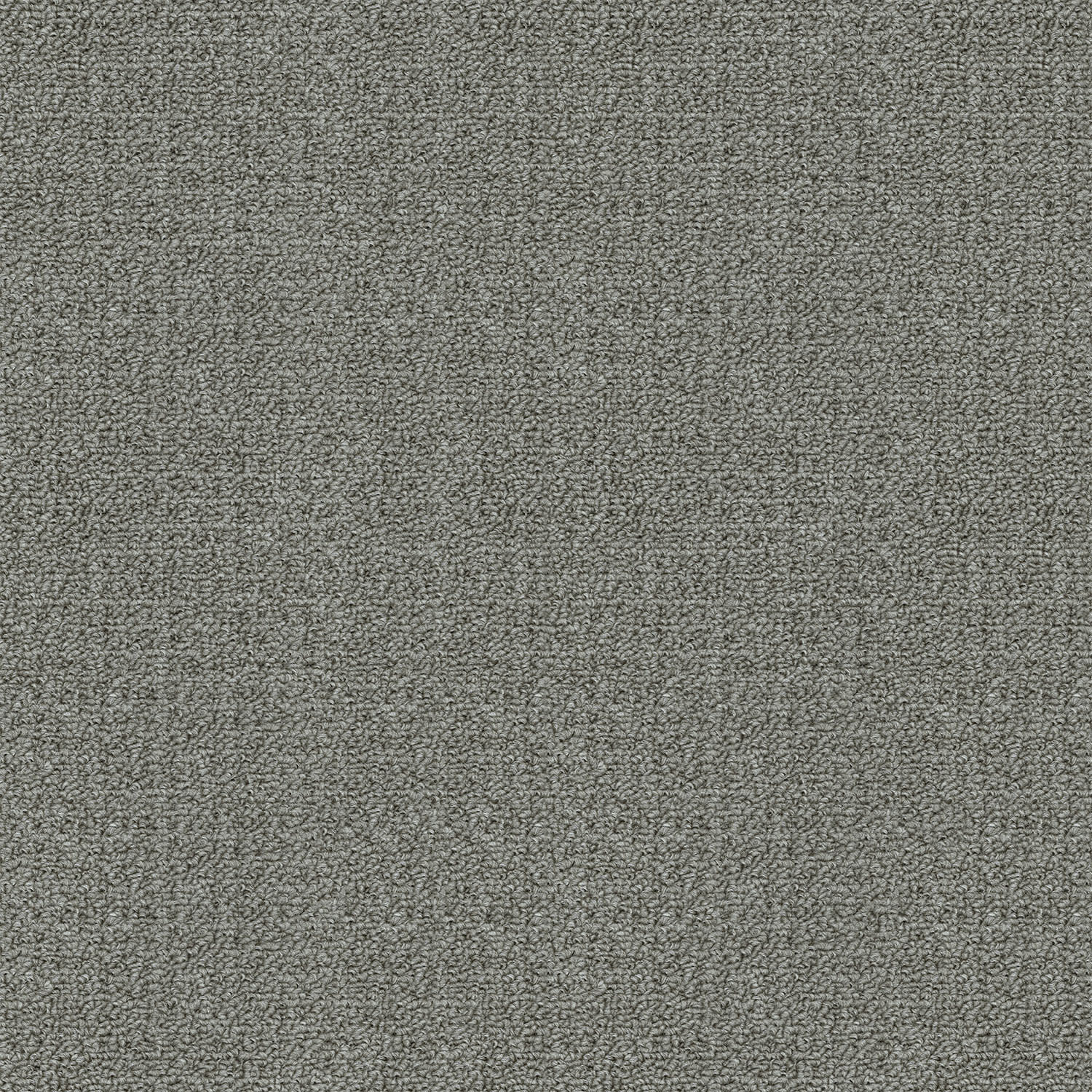 Revolution carpet in Rainstorm