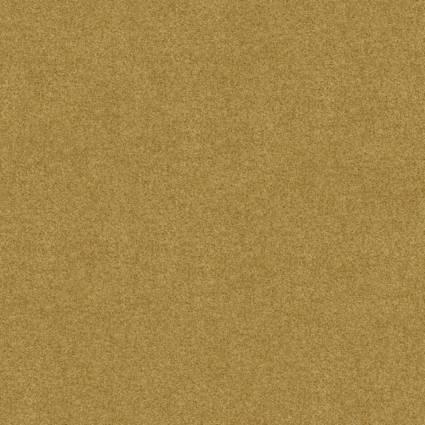 Freedom carpet in Aztec