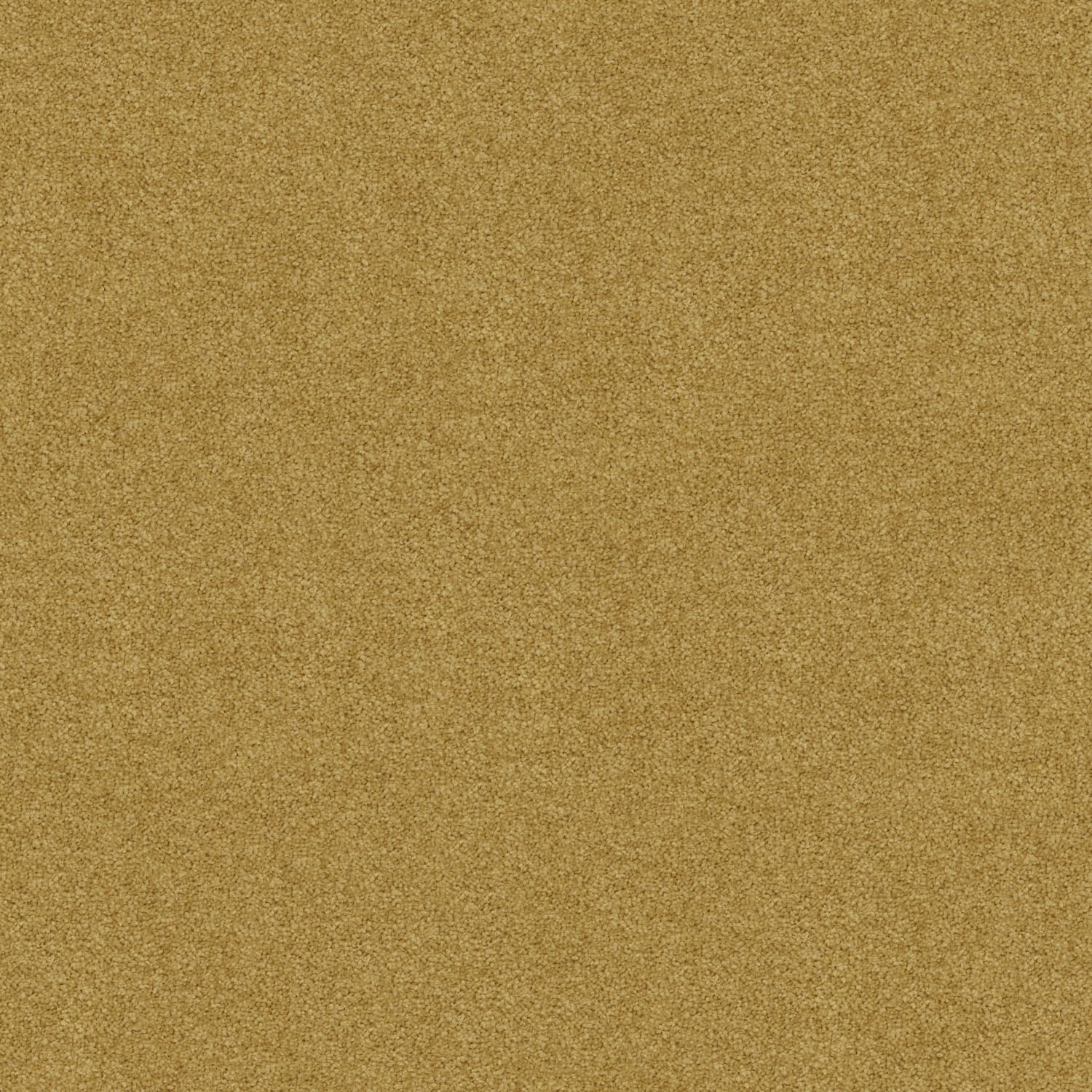 Freedom carpet in Aztec