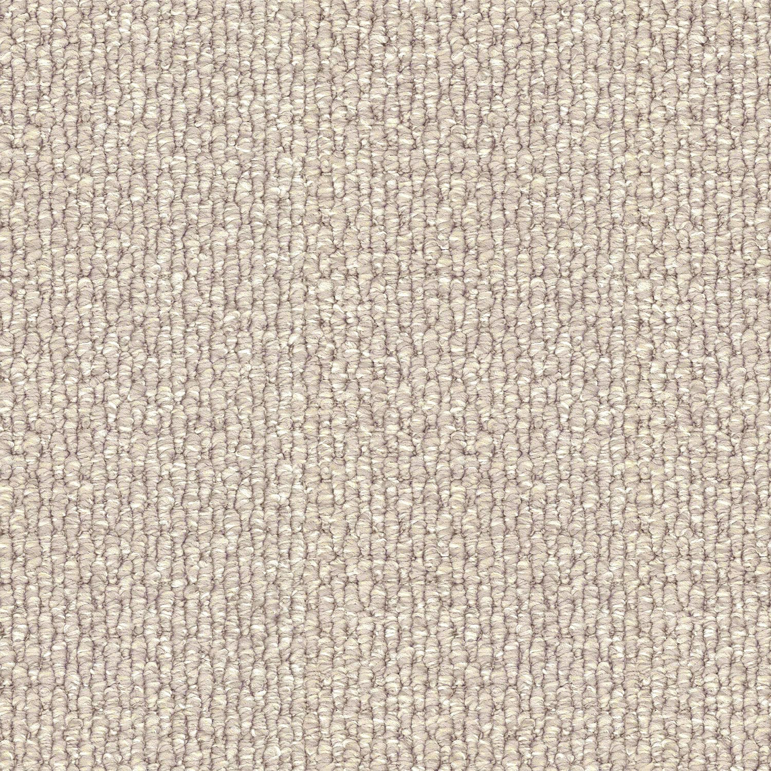 Central Valley carpet in Angora