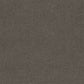 Lasting Touch carpet in Columbia