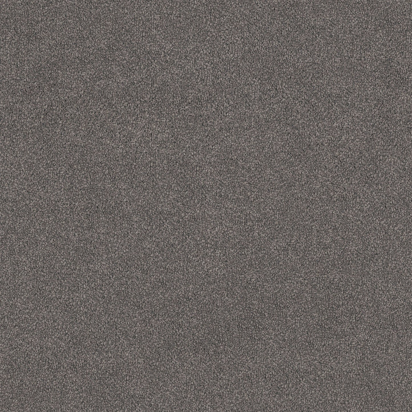 Lasting Touch carpet in Steel