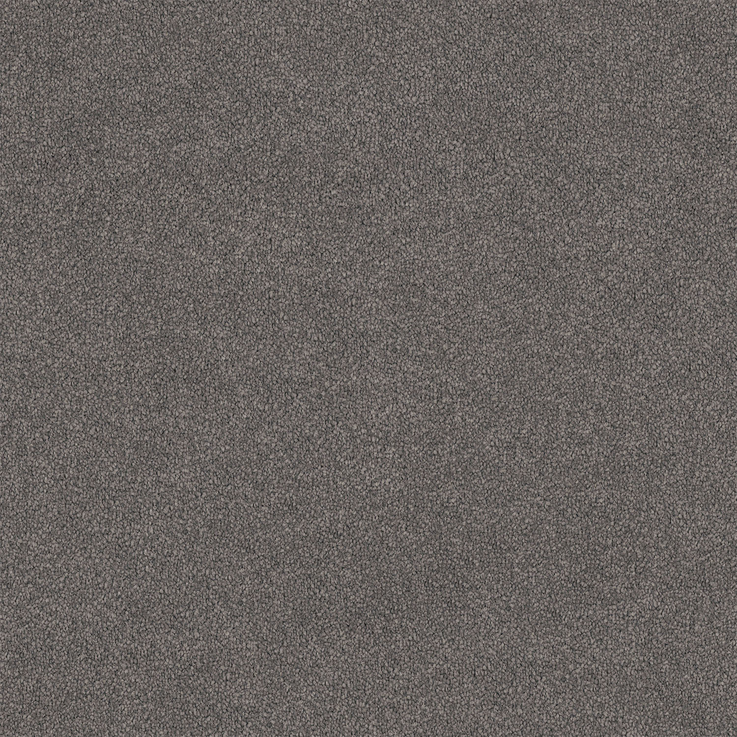 Lasting Touch carpet in Steel