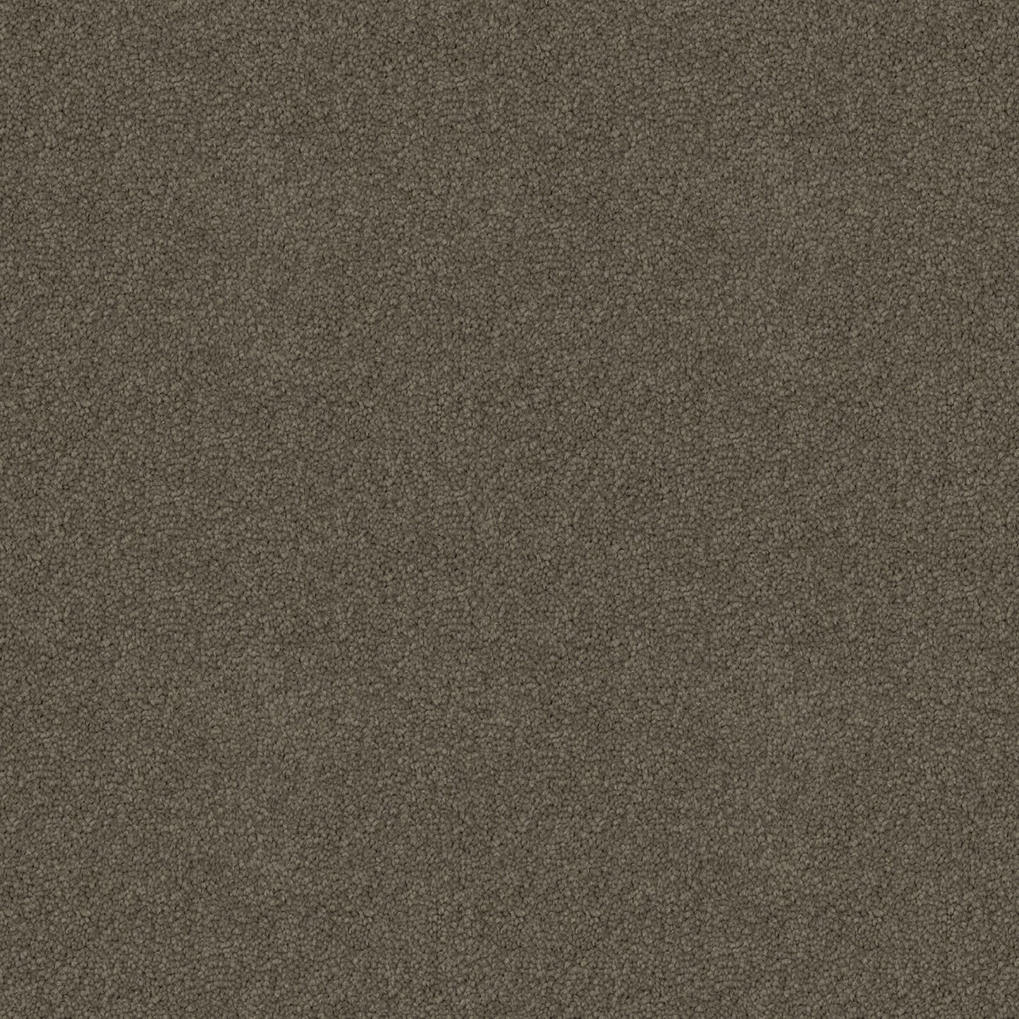 Crestview carpet in Enigma