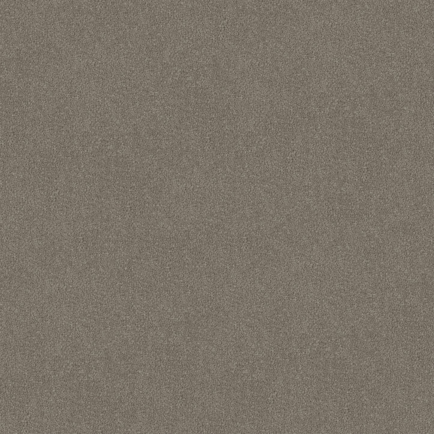 Armadale carpet in Soft Cloud