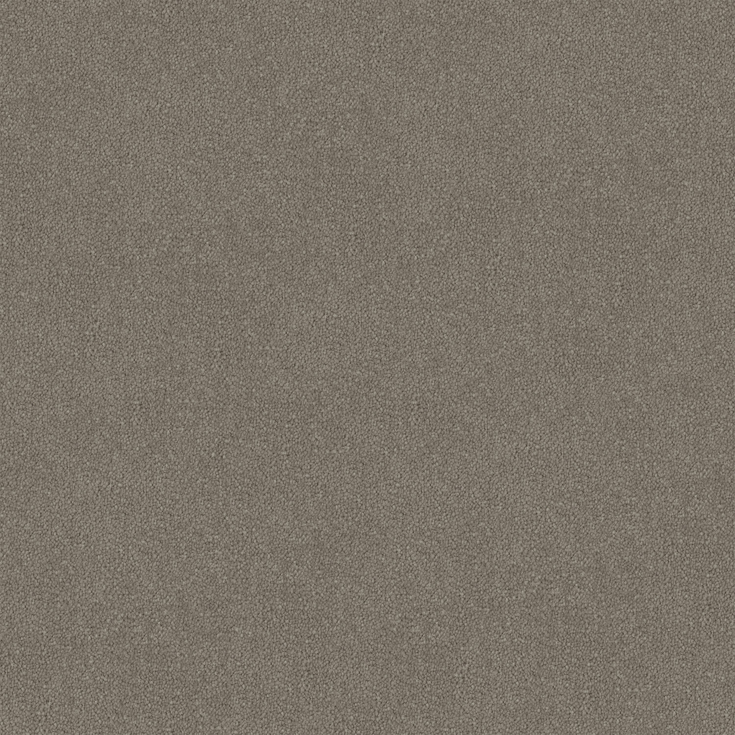 Armadale carpet in Soft Cloud