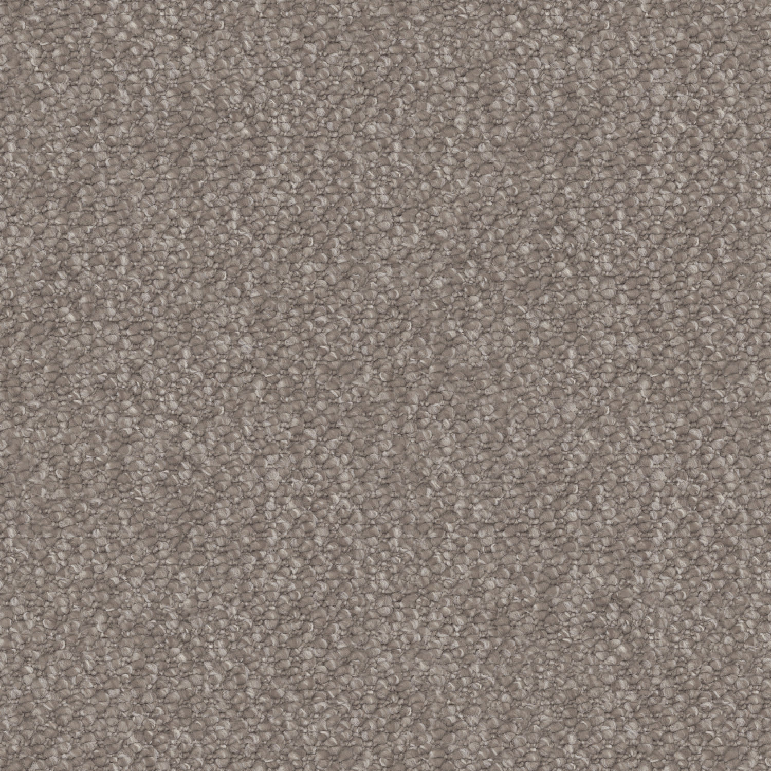 Hillcrest carpet in Scorched Almond